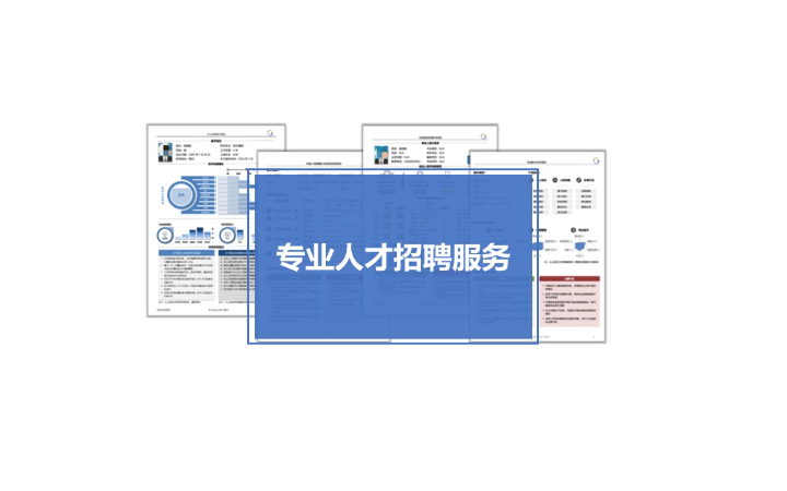 北京鸿域信息咨询服务有限公司